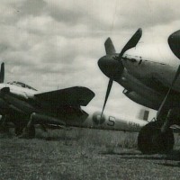 Mosquitos Aug 45